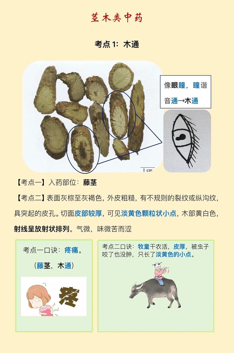 梵普印度代购希爱力是真的吗？避坑指南与正品鉴别全攻略