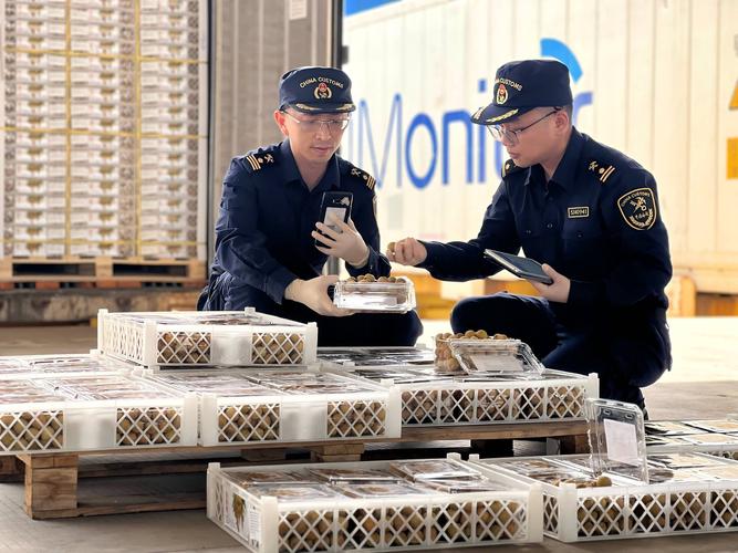 梵普印度代购药物怎么处罚？这些红线千万别碰